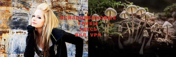apvp Кодинск