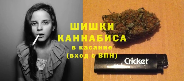 apvp Кодинск