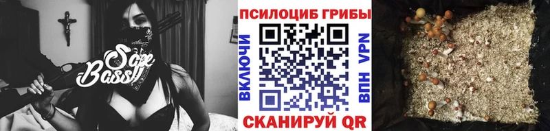 Купить закладки  Заполярный  Галлюциногенные грибы прущие грибы 