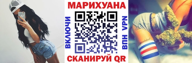 Купить где  Заполярный  Конопля сатива 